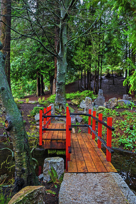 Alex Lyubar Art Print featuring the photograph Small Bridge Over the Creek by Alex Lyubar