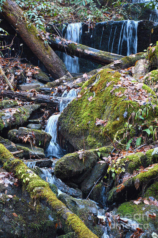 Tennessee Art Print featuring the photograph Small Waterfall by Phil Perkins