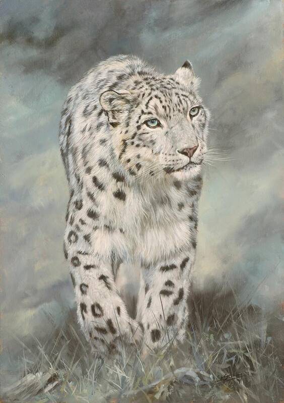 Snow Leopard Art Print featuring the painting Snow Leopard 5 by David Stribbling