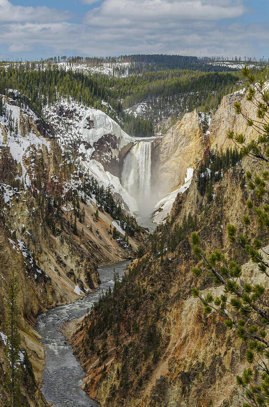 Yellowstone National Park Art Print featuring the photograph Snow On The Falls by Yeates Photography