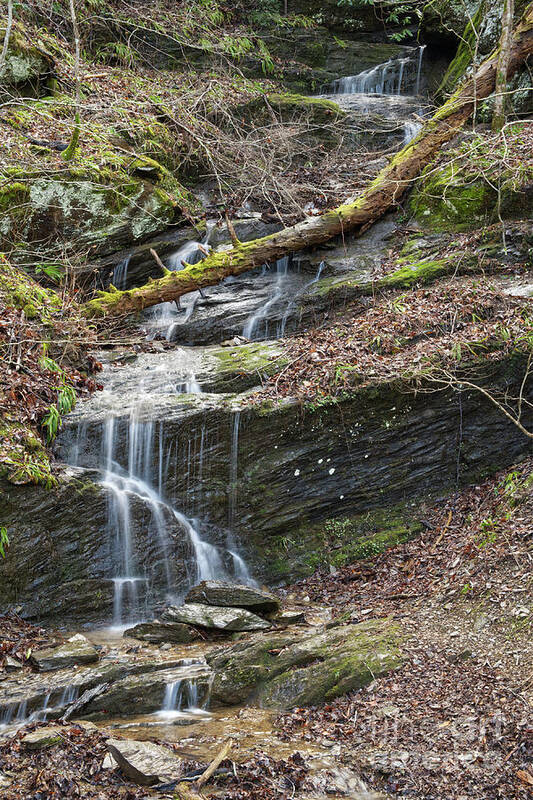 Tennessee Art Print featuring the photograph Spring Fed Waterfall by Phil Perkins