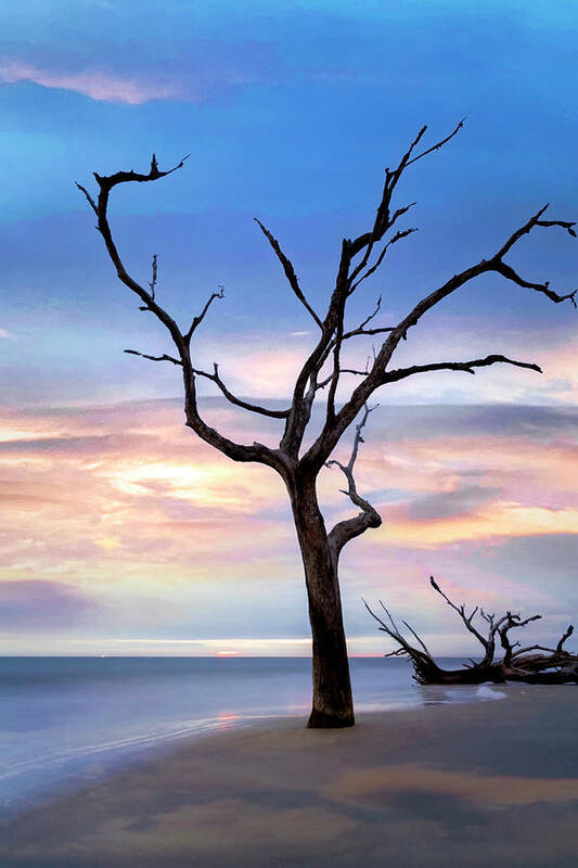 Clouds Art Print featuring the photograph Standing Alone on Jekyll Island Driftwood Beach by Debra and Dave Vanderlaan