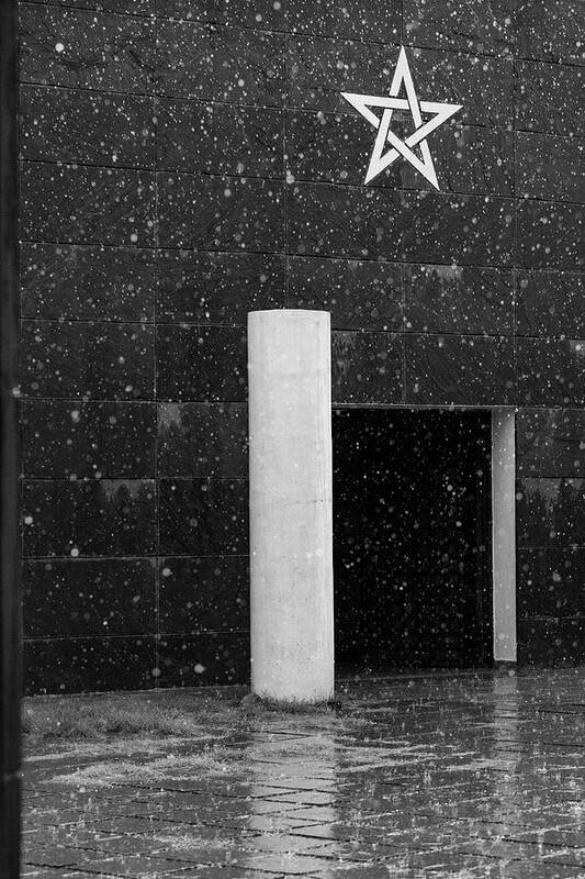 Minimalism Art Print featuring the photograph Star Drenched in Rain by Prakash Ghai