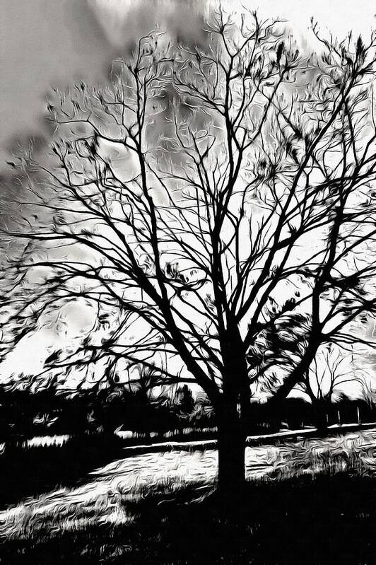 Tree Art Print featuring the mixed media Stark Sky, Barren Tree by Christopher Reed