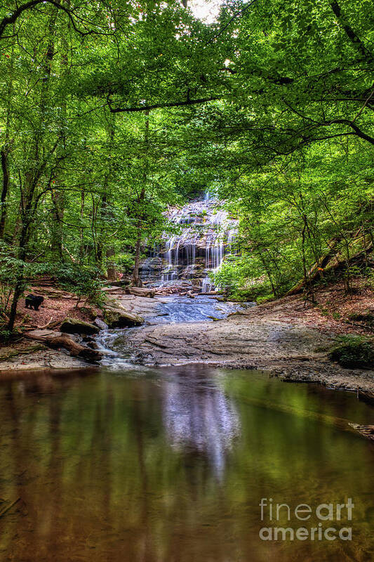 Waterfall Art Print featuring the photograph Station Cove Waterfall by Amy Dundon