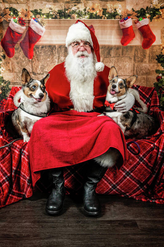 Sidney Art Print featuring the photograph Steve-O and Sidney with Santa. by Christopher Holmes