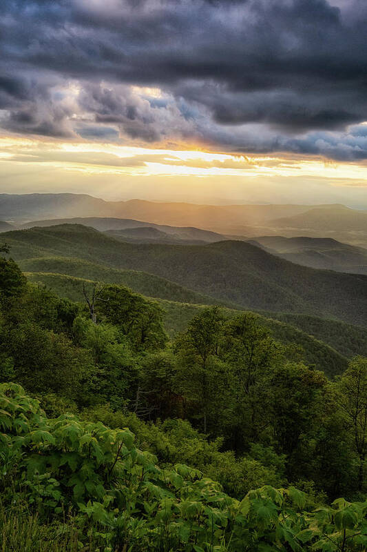 Blue Ridge Mountains Art Print featuring the photograph Summer Mountain Glow by Tricia Louque