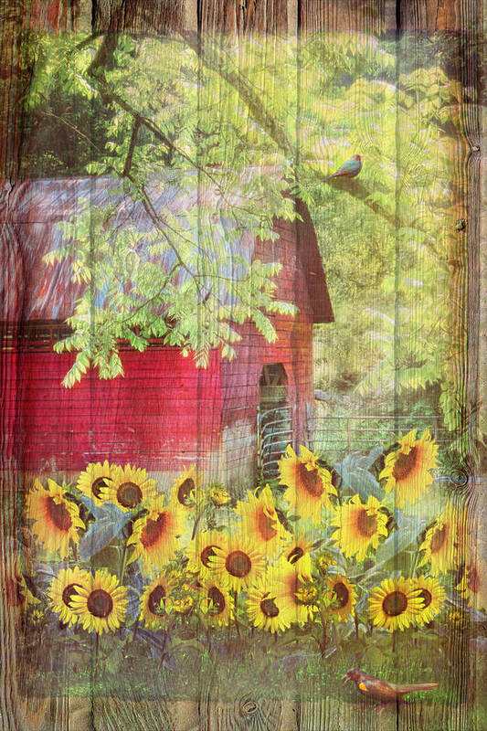 American Art Print featuring the photograph Sunflowers in the Garden with Wood Textures by Debra and Dave Vanderlaan