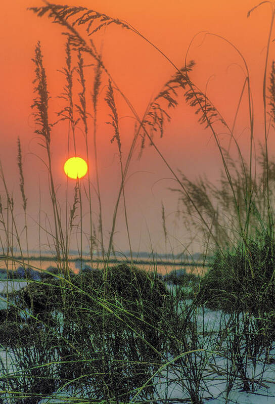 Orange Art Print featuring the photograph Sunset and Sea Oats by James C Richardson