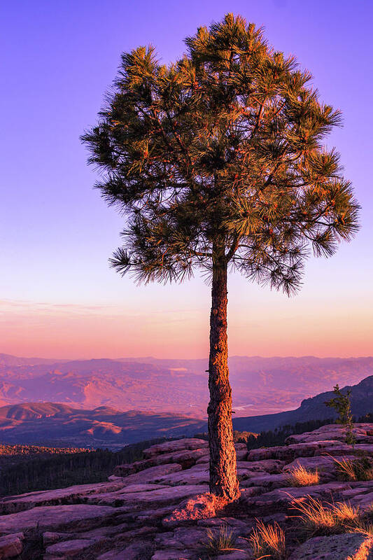 View Art Print featuring the photograph Sunset View from Aztec Peak by Bonny Puckett