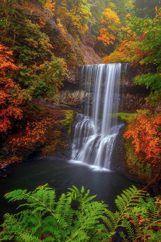 Oregon Art Print featuring the photograph Surrounded By Color by Darren White