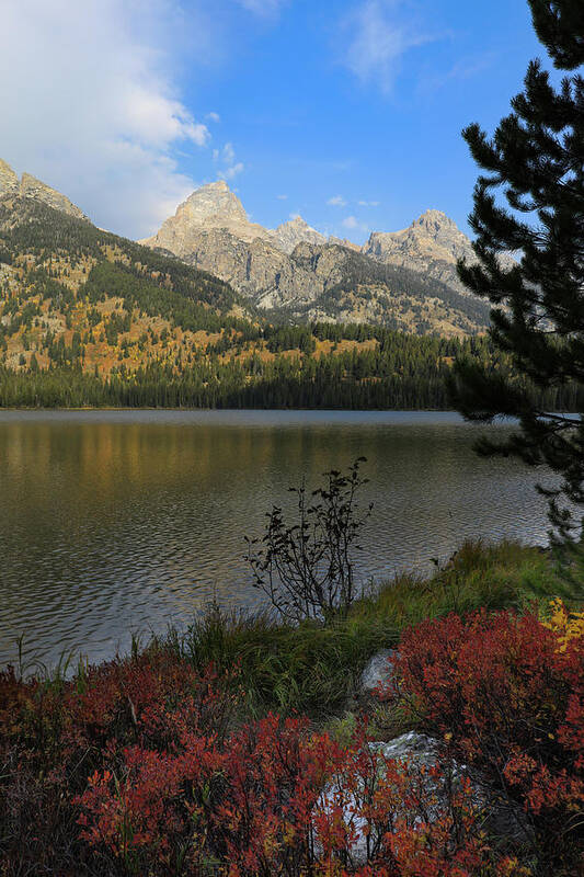 Taggart Lake In Autumn Art Print featuring the photograph Taggart Lake In Autumn by Dan Sproul