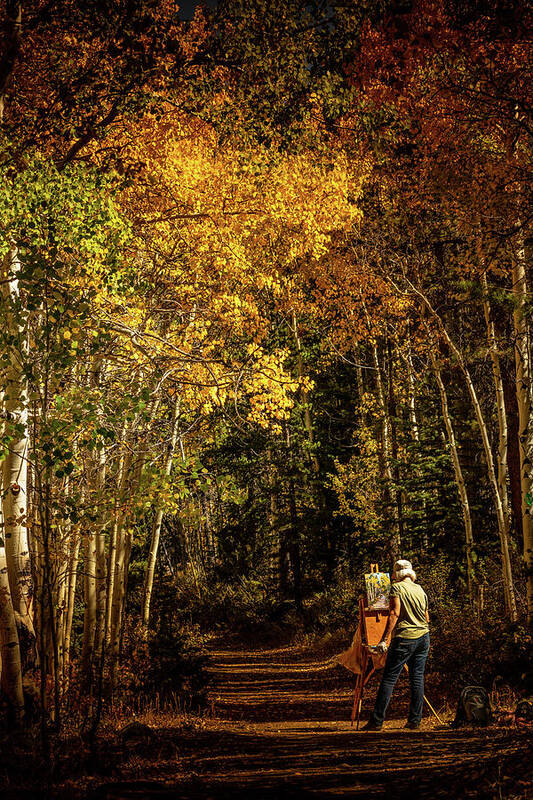Fall Art Print featuring the photograph The Color of Fall by Kevin Schwalbe