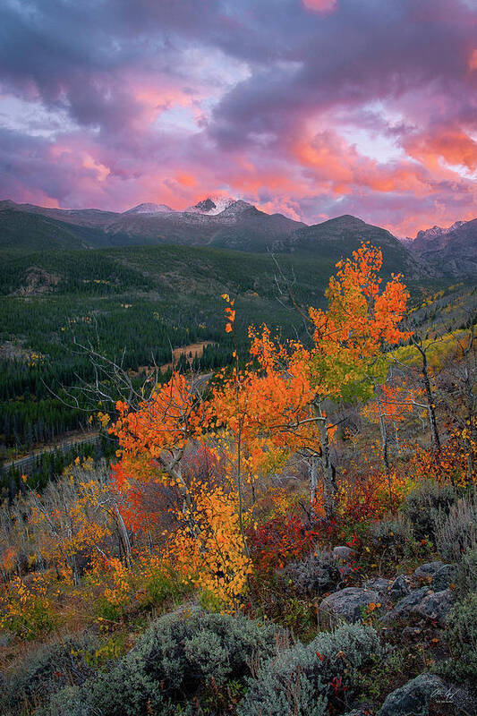 Longs Art Print featuring the photograph The End of Autumn - Rocky Mountain National Park by Aaron Spong