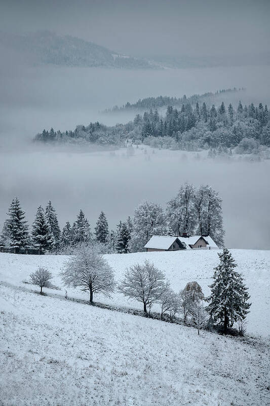 Landscape Art Print featuring the photograph The first snow by Jaroslaw Blaminsky