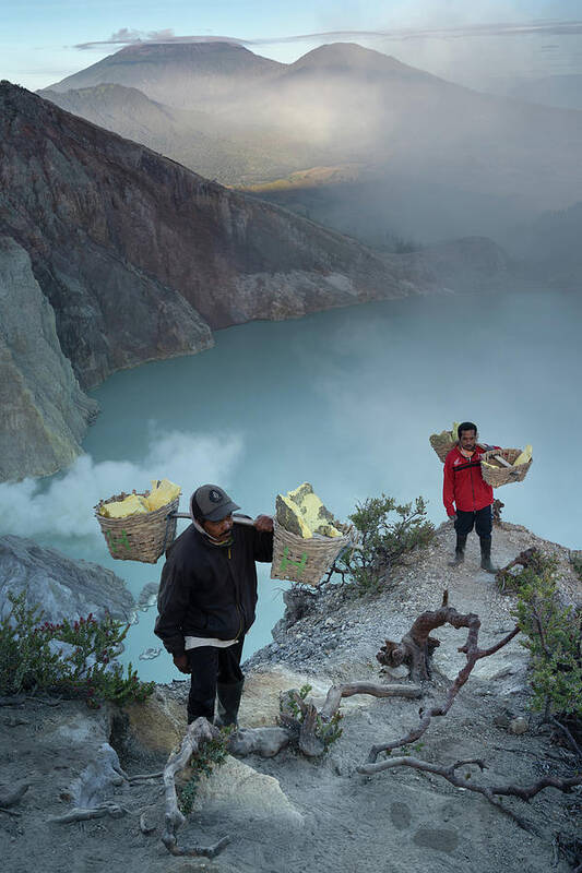 Ijen Art Print featuring the photograph The miners of Mt Ijen by Anges Van der Logt