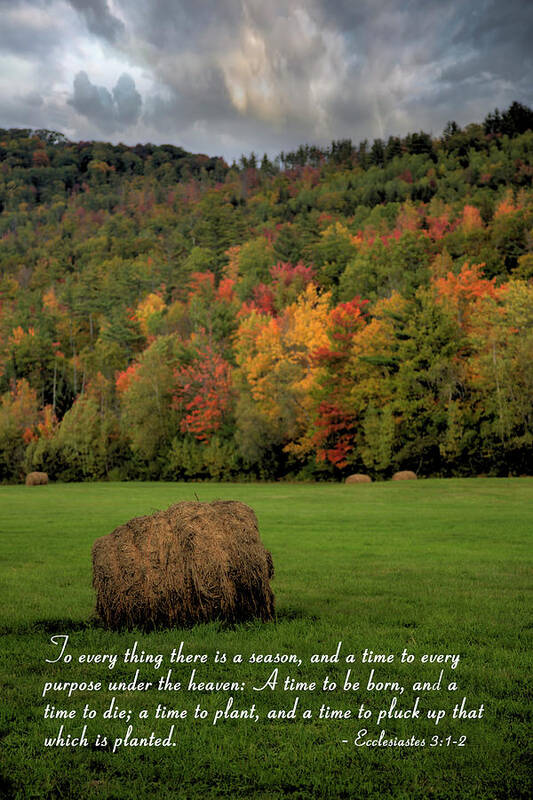 Maine Art Print featuring the photograph There Is A Season by Robert Harris