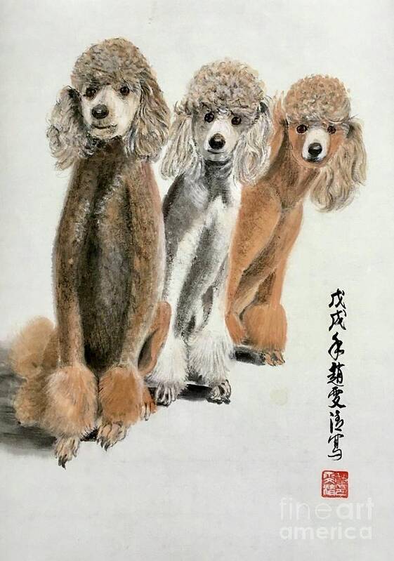 Puppy Poodle Portraits Art Print featuring the painting Three Poodle Dog by Carmen Lam