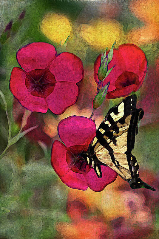 Flax Art Print featuring the photograph Three Red Flax and Butterfly by Vanessa Thomas