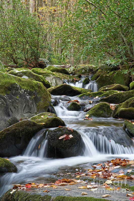 Smoky Mountains Art Print featuring the photograph Thunderhead Prong 29 by Phil Perkins