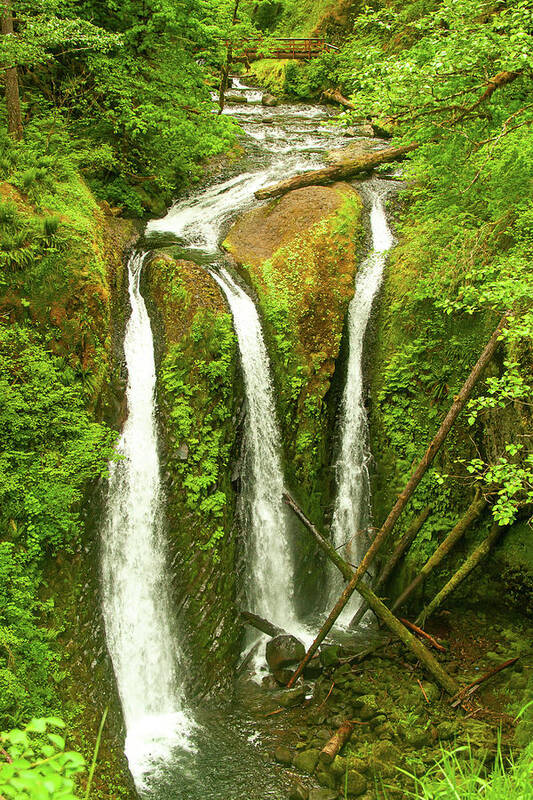 Columbia River Gorge Art Print featuring the photograph Triple Falls, Columbia River Gorge Hikes by Leslie Struxness