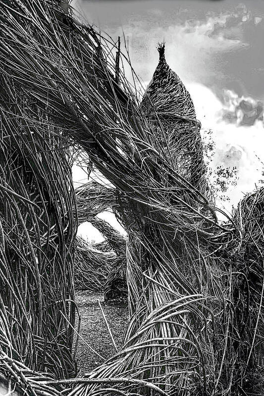 Sculpture Art Print featuring the photograph Twig Fortress by Jim Signorelli