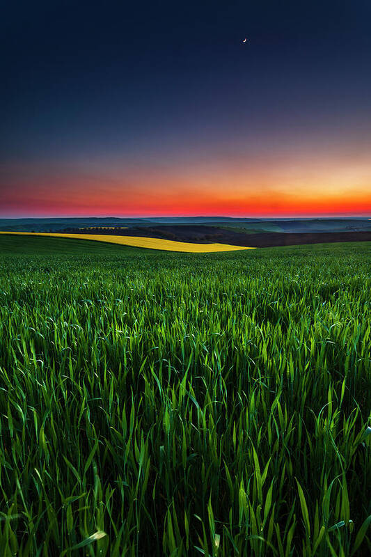 Dusk Art Print featuring the photograph Twilight Fields by Evgeni Dinev