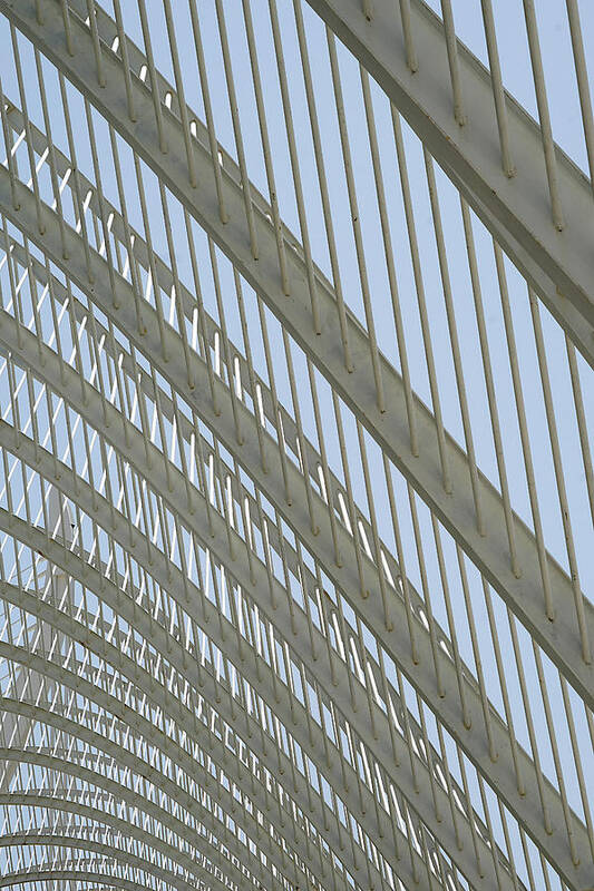 Valencia - The Umbriacle Art Print featuring the photograph Valencia - The Umbracle Study 1 by Richard Reeve