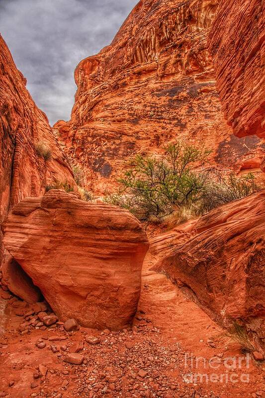  Art Print featuring the photograph Valley of Fire Earthscapes 9 by Rodney Lee Williams