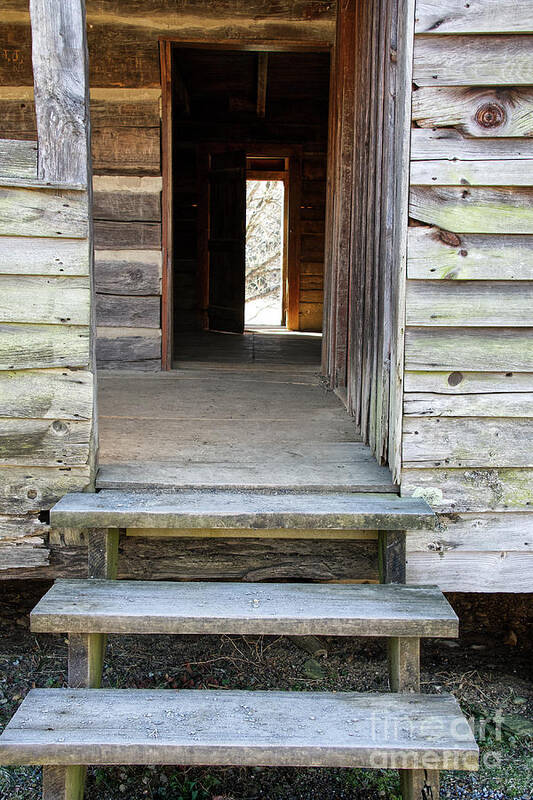 Cades Cove Art Print featuring the photograph Vintage Cabin And Doors by Phil Perkins