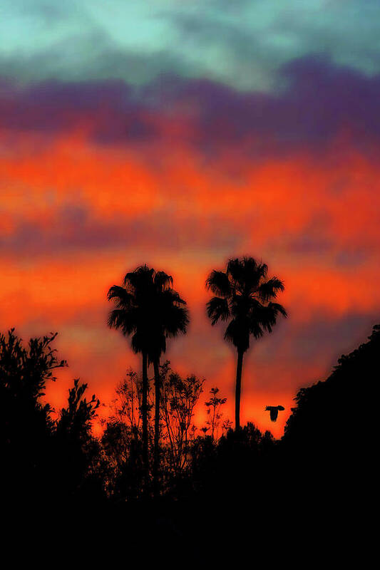 Sunset Palm Trees Art Art Print featuring the photograph Vivid Sunset by Jerry Cowart