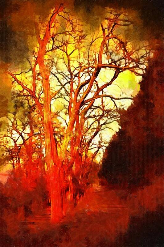 Tree Art Print featuring the mixed media Walking into the Red Woods by Christopher Reed