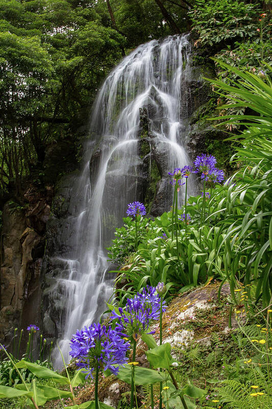 Nordeste Art Print featuring the photograph Waterfall with Flowers by Denise Kopko