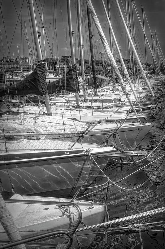Boats Art Print featuring the photograph White Sailboats in the Harbor in Black and White by Debra and Dave Vanderlaan