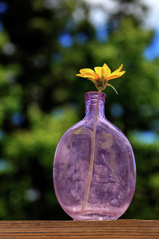 Wildflower Art Print featuring the photograph Wildflower In A Whiskey Flask by James Eddy