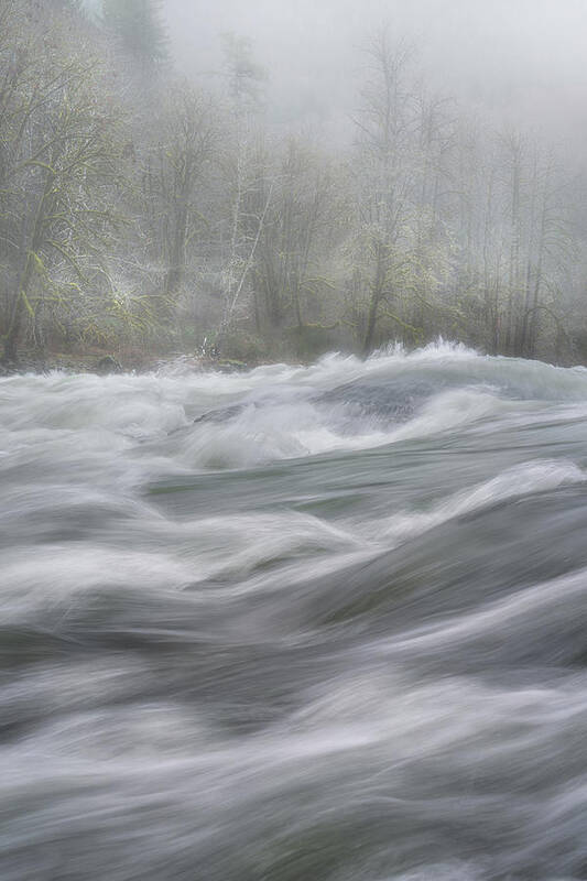 Oregon Art Print featuring the photograph Wilson River Moods by Darren White