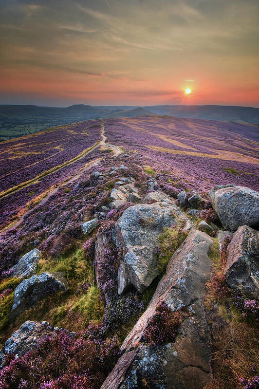 Flower Art Print featuring the photograph Win Hill 1.0 by Yhun Suarez