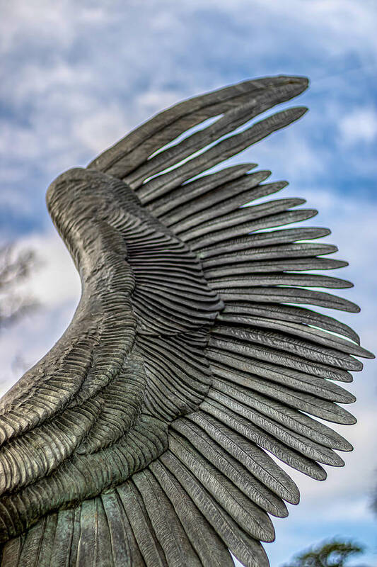 Angel Art Print featuring the photograph Wing by Rick Nelson