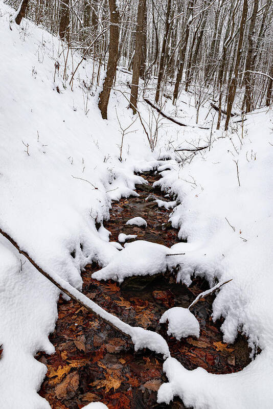 Creek Art Print featuring the photograph Winter Transformations by Lara Ellis