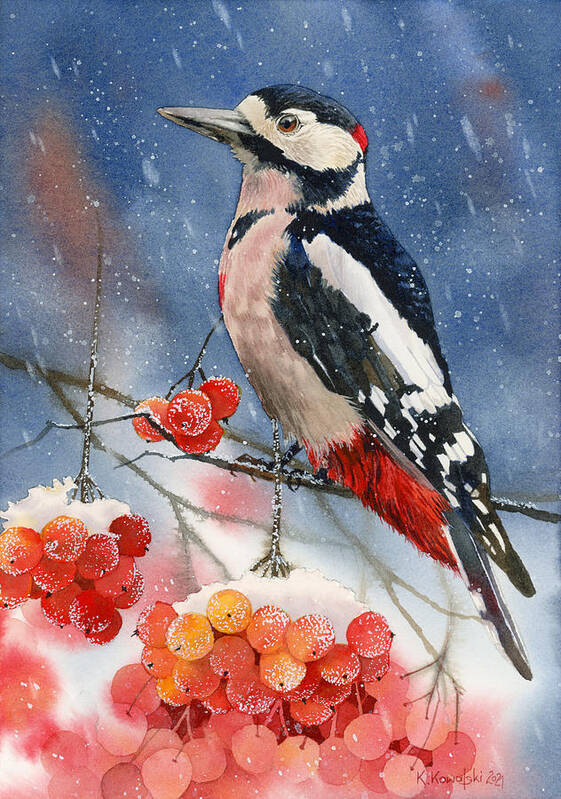 Bird Art Print featuring the painting Winter Woodpecker by Espero Art