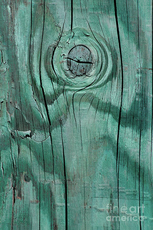 Abstract Art Print featuring the photograph wood abstract photography - Green Knot by Sharon Hudson