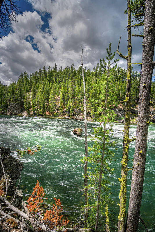 River Art Print featuring the photograph Yellowstone River by Gary Felton