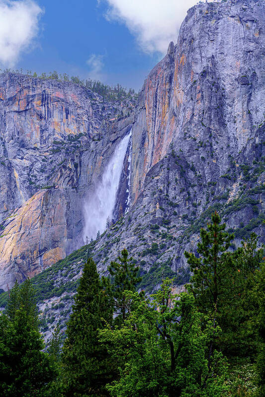 Yosemite Falls Art Print featuring the photograph Yosemite Falls in Spring 2 by Lindsay Thomson