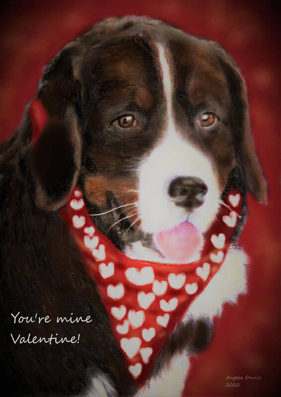 Burmese Mountain Dog Art Print featuring the drawing You're Mine Valentine by Angela Davies