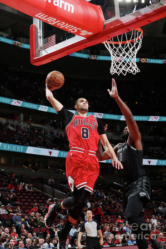 Chicago Bulls Art Print featuring the photograph Zach Lavine by Gary Dineen