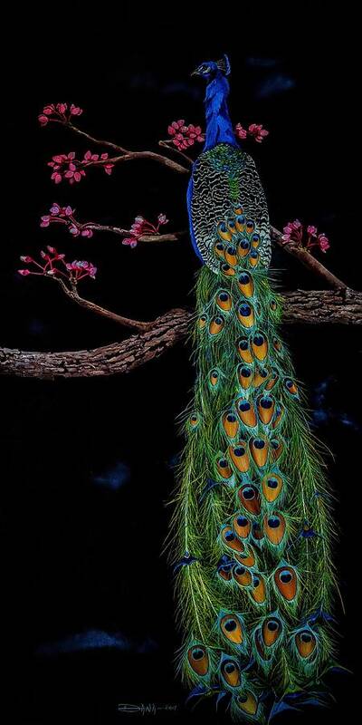 Birds Art Print featuring the painting Royal Peacock by Dana Newman