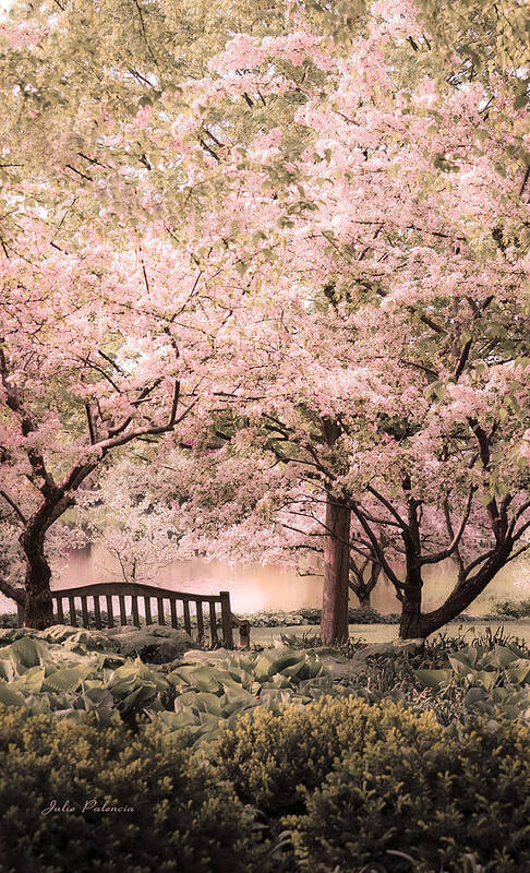 Seasons Of Beauty Art Print featuring the photograph Beauty of a Spring Garden by Julie Palencia