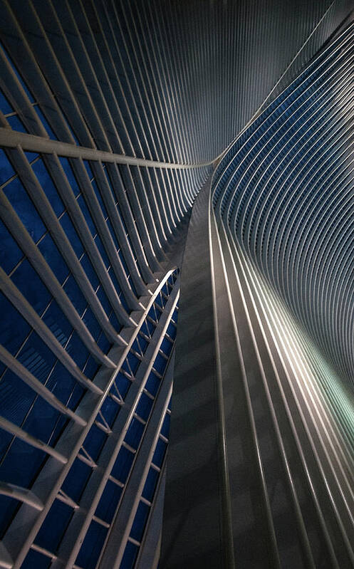 Architecture Art Print featuring the photograph Calatrava Lines At The Blue Hour by Jef Van Den
