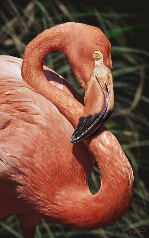 Bird Art Print featuring the digital art Caribbean Flamingo by Owen Bell