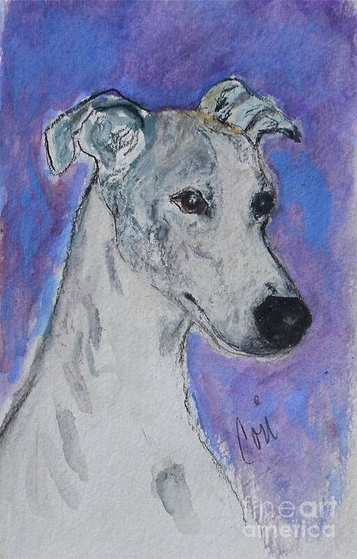 Whippet Art Print featuring the painting Dream Weaver by Cori Solomon